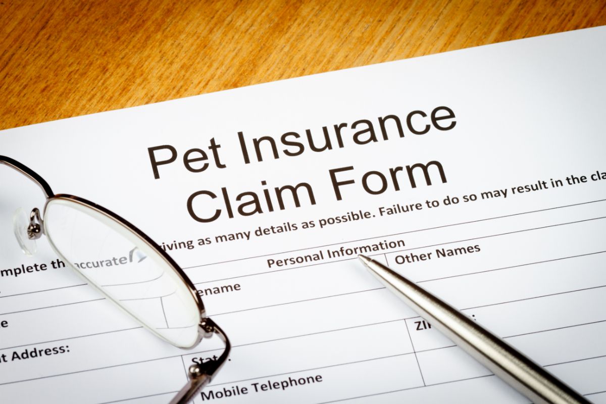 Take Out Pet Insurance